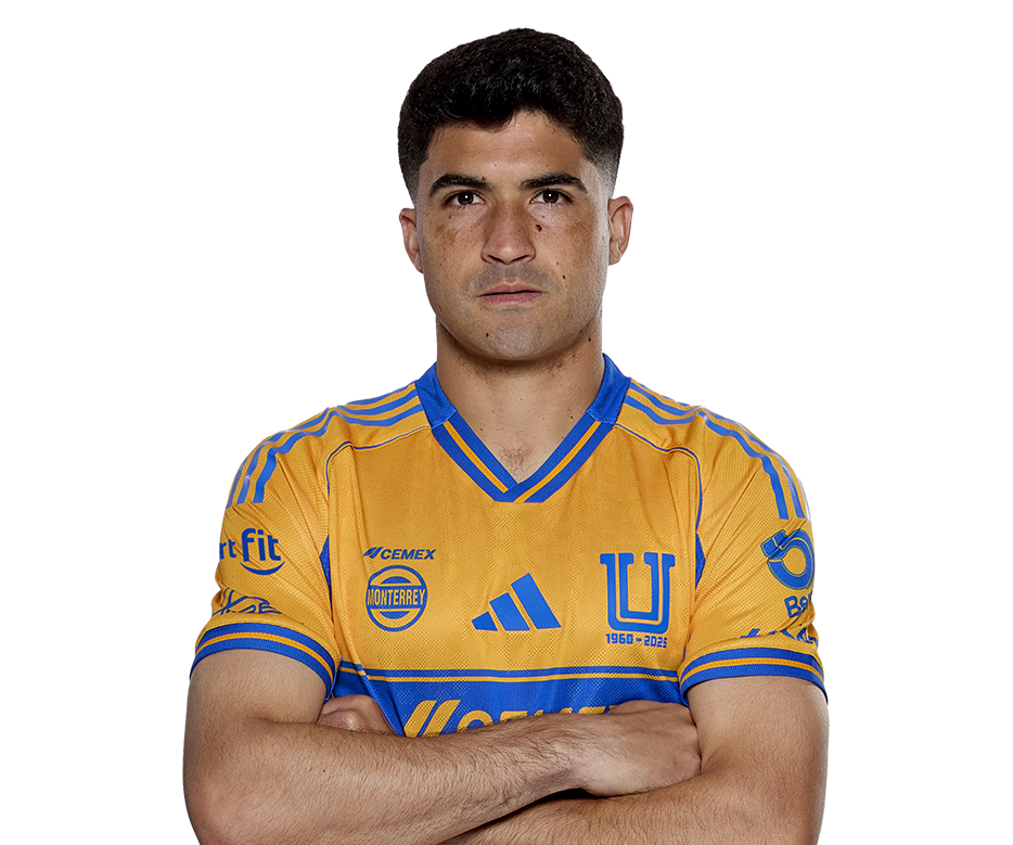Nicolás Ibáñez